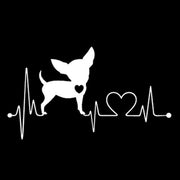 Car sticker